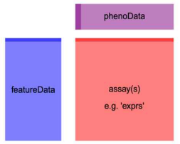 ExpressionSet의 데이터 구조