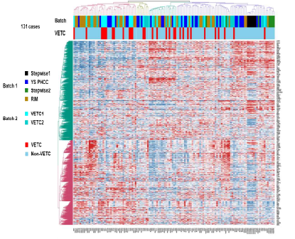 VETC/Non-VETC HCC의 유전자 발현량에 대한 비지도 계층적 군집화 heatmap