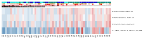 GSE Analysis의 curated gene set 중 VETC/Non-VETC 간 차이를 보이는 유전자 세트 heatmap