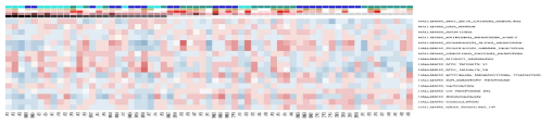 GSE Analysis의 Hallmark Gene Set 중 VETC/Non-VETC 간 차이를 보이는 유전자 세트 heatmap