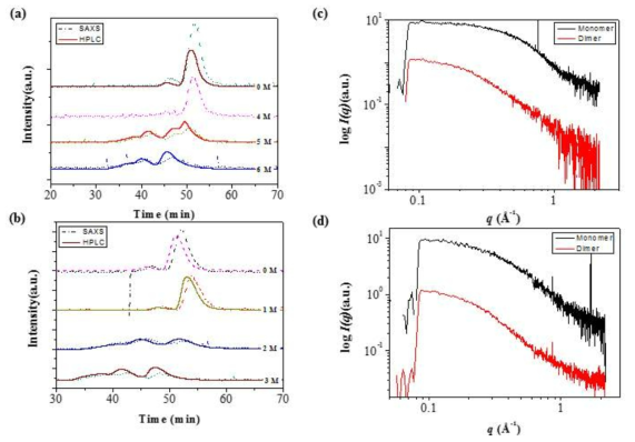 SEC-SAXS analysis of (a), (b) Denatured BSA protein in solution. (a) SEC-SAXS chromatogram of BSA in Urea solution. (b) SEC-SAXS chromatogram of BSA in GdnCl solution. (c) Denaturation point 5M Urea. (d) Denaturation point 2M GdC