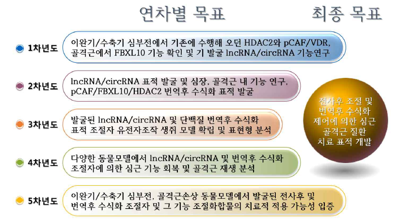 연차별 목표와 최종 목표