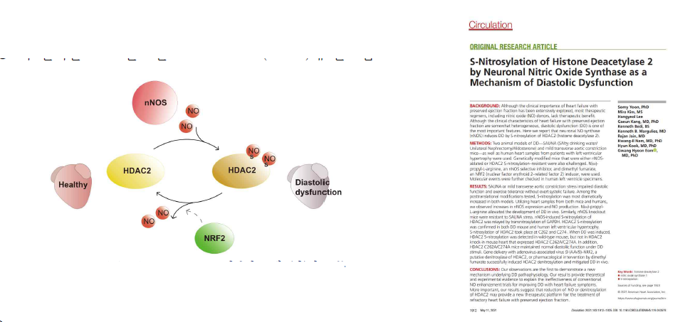 HDAC2 S-nitrosylation심부전 도해 (상)와 논문 첫 표지 (우)