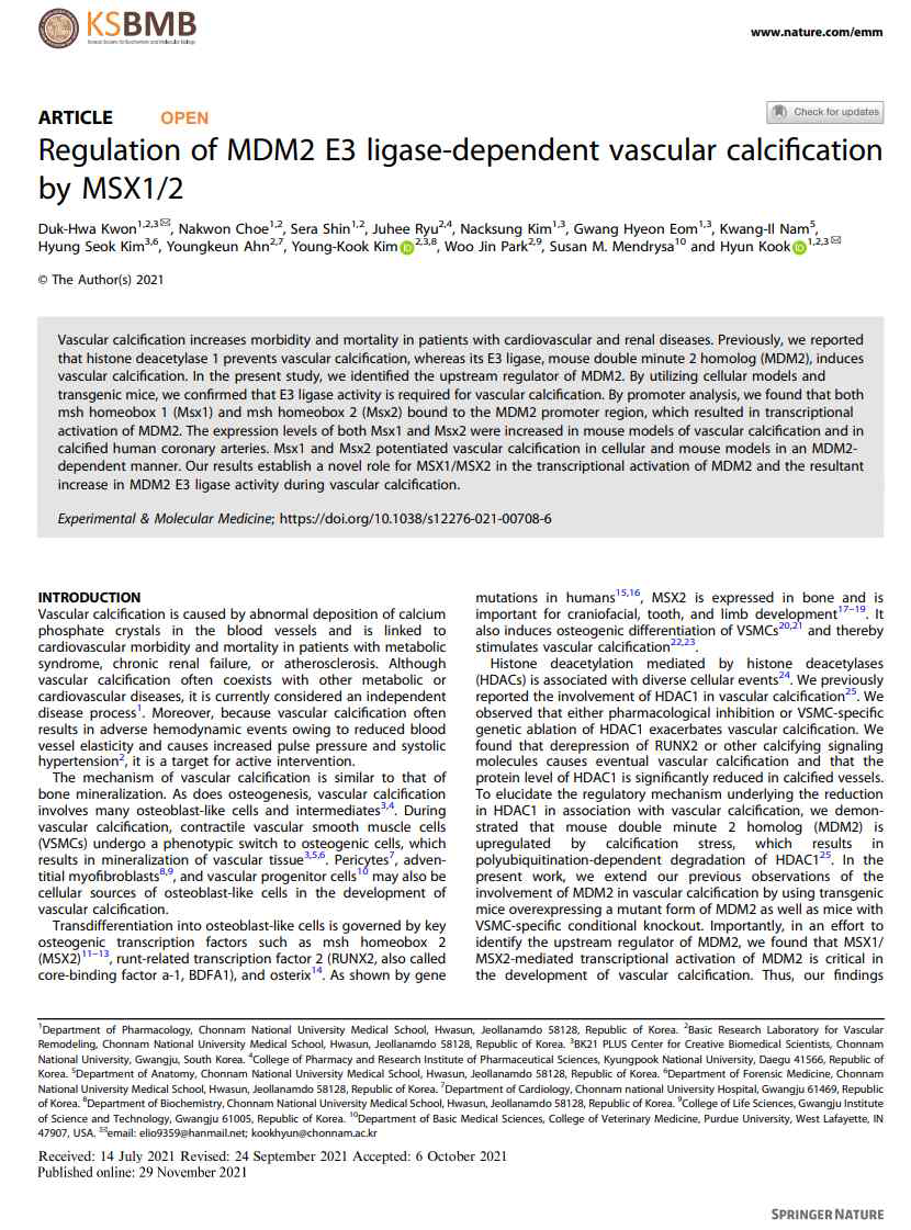 Exp Mol Med – MSX1/2에 의한 MDM2전사조절과 MDM2의 E3 활성 의존성 혈관석회화