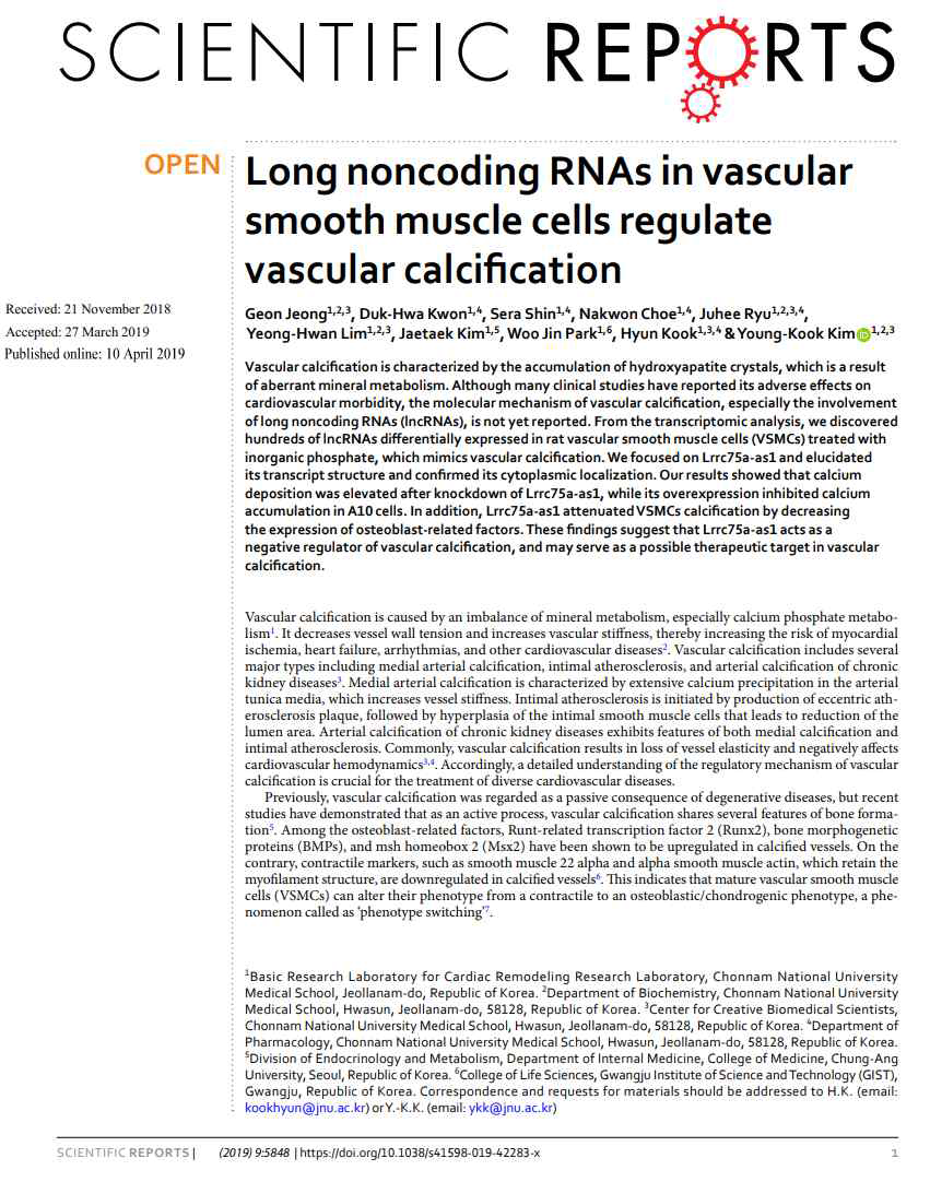 Sci Rep – 긴비암호화 RNA lrrc-75a-as1에 의한 혈관석회화