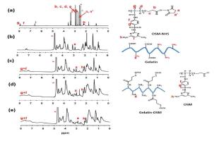 (a) OSM-NHS, (b) Free 젤라틴, (c) G10, (d) G20 및 (e) G30의 1H NMR 스펙트럼. (a) DMSO-d6 및 (b), (c), (d) 및 (e) 중수소 산화물(D2O)의 젤라틴-OSM. 별표는 용매 잔류물