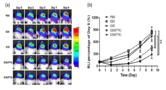 PBS, gelatin-OSM 하이드로겔 (G20 과 G30), PTX-loaded gelatin-OSM 하이드로겔 (G20(PTX) 와 G30(PTX))의 orthotopic GBM 뇌종양 성장 억제 확인. Orthotopic xenografted-GBM mouse에 25 wt% gelatin-OSM copolymer 및 2.5 mg/mL PTX를 함유한 샘플을 intratumoral로 주사 후 IVIS 스펙트럼을 사용하여 뇌종양 성장 억제 효과 관찰. PTX가 탑재되지 않은 gelatin-OSM 하이드로겔의 경우 뇌종양성장 억제 능력이 없었으나, PTX-loaded gelatin-OSM의 경우 뇌종양 성장을 억제시킴. 그러나 G20과 G30에서의 유의미한 차이는 나타나지 않음