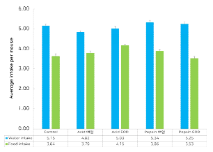 in vivo 모델 물 사료 섭취 변화