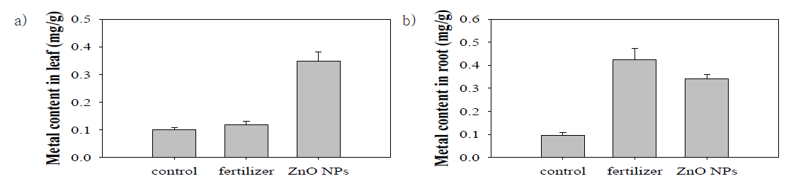 나노비료와 ZnO NPs에 노출된 청경채의 중금속 농도 a) leaf b) root