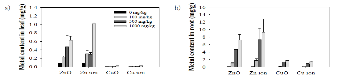 상추의 기관별 농축된 중금속 농도 a) leaf b) root