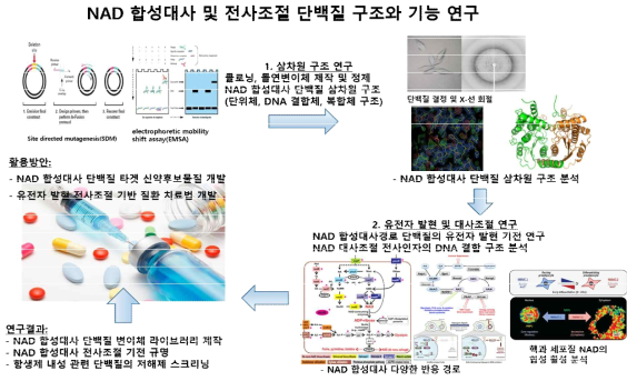 연구개발과제 개요