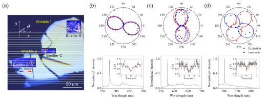 h-BN의 주름 부분과 평평한 영역에서 생성된 단일 광자 광원 양자 결함. (a) 실험 에서 사용된 h-BN 샘플의 이미지와 측정된 양자 결함 (Emitter A, B, C). (b – c) 관찰된 양자 광원 A, B, C의 편광 특성과 Photoluminescence, g(2) 상관함수