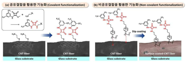 (a) 탄소나노튜브 섬유 표면의 아민(amine)기를 활용한 공유결합 방식의 리셉터의 기능화. (b) P4VP에 리셉터를 기능화 시킨 후, 탄소나노튜브 표면에 물리적으로 흡착시킨 비공유결합 방식의 리셉터 기능화
