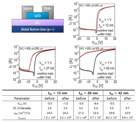 제작된 a-IGTO TFT 구조와 채널층 두께(tch)에 따른 proton radiation 전, 후 소자의 transfer curve와 electrical parameter 비교