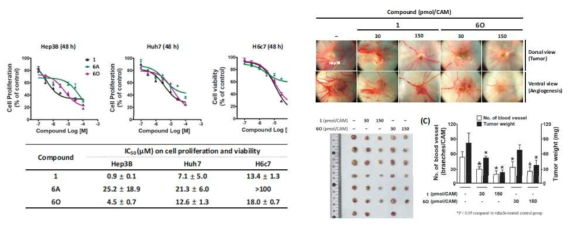 카보잔티닙의 bioisostere (6O)의 in vitro 및 in vivo 항종양 활성