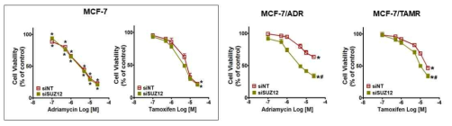 MCF-7과 약물저항성MCF-7세포의 항암제 반응성에 미치는 SUZ12 silencing 효과