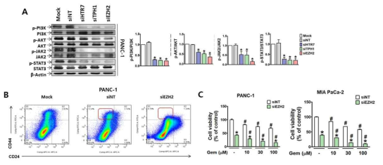 PANC-1세포에서 CD44 발현과 젬시타빈 저항성에 미치는 EZH2 silencing 효과