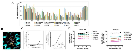 전립선암세포주 선택적 항증식활성물질 동정(A), M3R-화합물3A 결합모형(B), M3R에 대한 화합물2와 3A의 방사성리간드와 경쟁적결합억제능(C), 및 carbachol로 유도한 DU-145 증식에 대한 화합물2와 3A의 억제 효과(D)