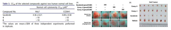 소라페닙 하리브리드 화합물(4, 6)의 정상세포에 대한 안전성 및 간종양 성장 억제 활성