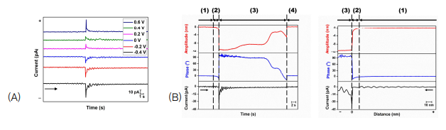 (A) 전도성 AFM팁과 전기화학측정장치를 이용한 전기화학 Force Spectroscopy측정에서 관찰된 전류의 크기. 부호에 따라 PZC의 위치를 추측할 수 있음. (B) 급격한 전류변화 지점을 접촉점 z=0으로 지정했을 때 AFM팀의 크기, 위상차, 전류의 측정치. 전류가 흐르기 전에 capacitive force로 인한 인력의 작용이 관찰됨