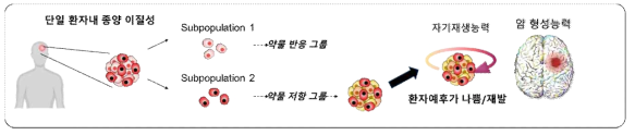 뇌종양 환자의 종양 내 이질성(Tumor heterogeneity)의 경우, 항암불응군에 의해 항암치료 이후에 재발 및 환자의 예후가 나쁨