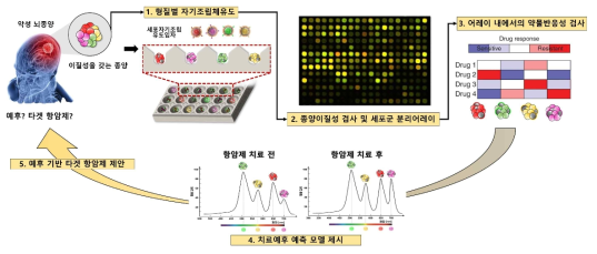 세포자기조립유도 기술을 이용한 종양 이질성 평가 및 환자 예후예측 진단시스템 개발의 개요도