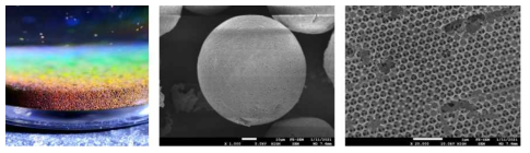 카본 포토닉볼 분산 구조색 및 SEM 사진