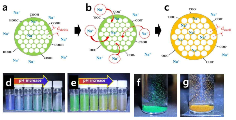 탄소 포토닉볼의 pH 감응에 따른 구조색 변화 (a~c) pH 변화에 따른 카복실기의 이온화 및 팽윤, (d) 230nm, (e) 250nm PS 템플레이트 이용한 포토닉 볼의 pH 감응 색변화, (f) pH3, (g) pH10에서 측정된 탄소 포토닉볼 구조색 사진