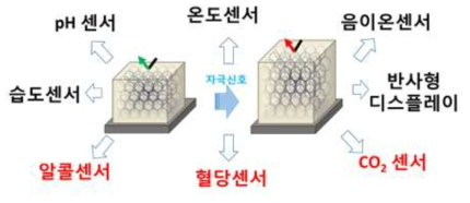 포토닉젤 센서의 다양한 응용분야. (검정색: 기개발된 센서, 적색: 본 과제에서 개발된 센서)