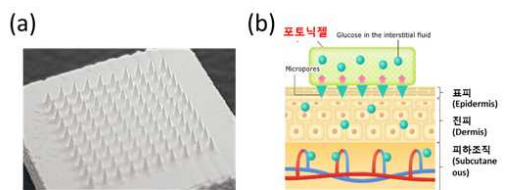 (a) 10x10 마이크로니들 어레이 포함한 다공성 패치 (b) 다공성 니들어레이로 진피층으로부터 추출된 체액이 포토닉젤에 공급되는 것을 모사한 그림