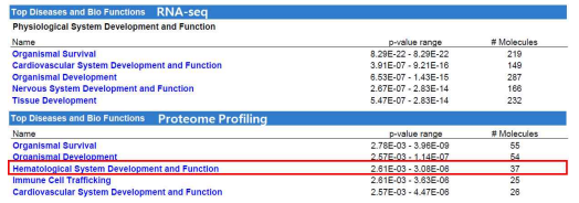 (위) RNA-seq에서 추출한 정상공여자 대비 AA 환자군의 DEG와 연관된 Physiological System Development and Function(아래) Proteomics data에서 추출한 정상공여자 대비 AA 환자군의 DEG와 연관된 Physiological System Development and Function