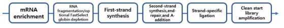 RNA-seq 실험 과정