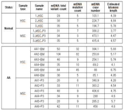 mtDNA의 somatic mutation variation, mtDNA copy 수, Telomere length 추정 분석과정과 결과