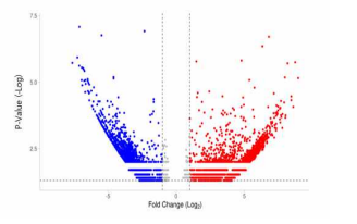 Volcano plot, Fold change (Log2) abs >1, P-Value (-Log10) >1.3