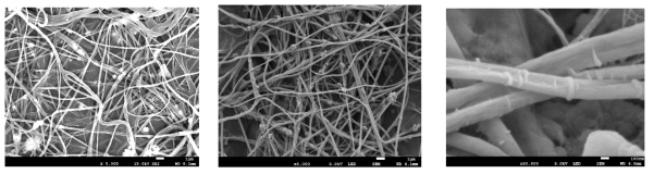 PZT를 포함한 나노섬유의 SEM이미지