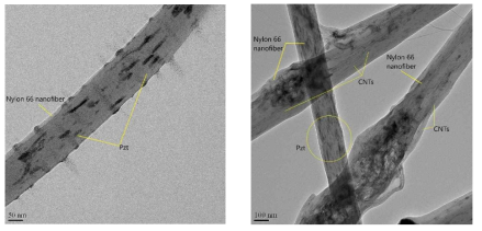 PZT, CNT를 포함한 나노섬유의 TEM 이미지