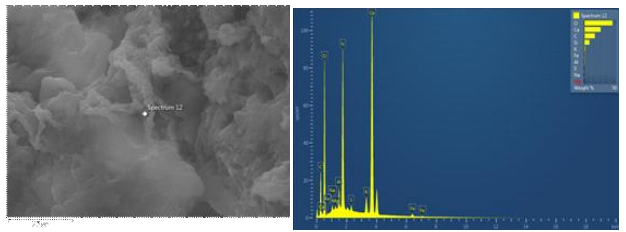 CNT-Nanosilica를 포함한 나노섬유의 시멘트 내에서의 EDS 스펙트럼