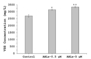 Impact of AHL on biomass