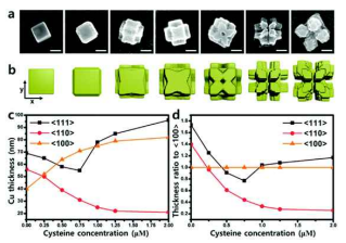 (a,b) 시스테인 농도에 따른 구리 전기증착의 구조 변화 이미지와 (c,d) 성장 방향성 분석
