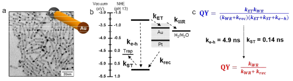 (a) 반도체-금속 나노아령 촉매 구조, (b) 광촉매의 전자 전달 메커니즘, (c) 반응 모형에 따른 동역학적 시뮬레이션 및 반응 요소의 단순화 (kWR = 표면 물 환원 반응 속도, krec = 역재조합 속도)