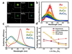 금과 금-구리 합금 나노입자의 플라즈몬 이미징, 분광 및 이론적 신호 이동