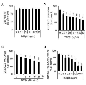 TGF-β1 처리 시간 및 농도 의존적 MUC5AC mRNA 발현 감소