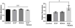 LX2 세포와 JCK 세포 공동배양시 ESPs, NDMA, ESP+NDMA 처리에 따른 (좌) 세포 생존율 및 (우) 활성 산소종 발생량 측정