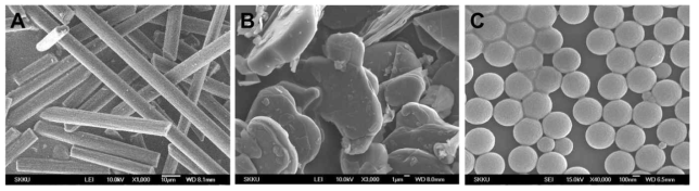 본 연구과제에서 선정한 core 소재의 SEM 이미지; (A) carbon fiber, (B) boron nitride, (C) polystyrene bead