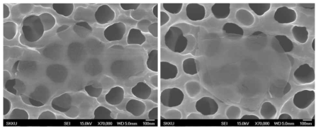 본 연구팀이 불산처리하여 제조한 박리된 MXene (Ti3C2Tx) nanosheets