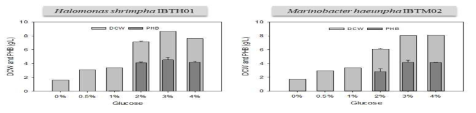 Glucose 농도별 PHB 생산량