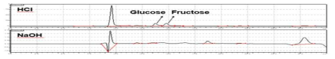 HCl 및 NaOH 가수분해물 HPLC 분석 결과