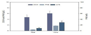 H. shrimpha IBTH01 PHB 생산 결과 (파인애플 껍질 및 심 활용)