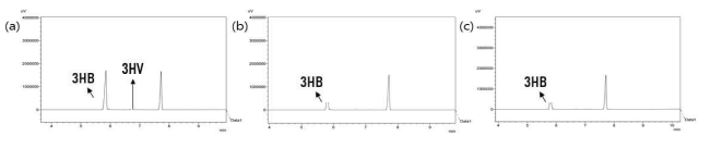 GC 분석 결과 (a) PHBV (b) H. shrimpha IBTH01 (c) M. haeunpha IBTM02