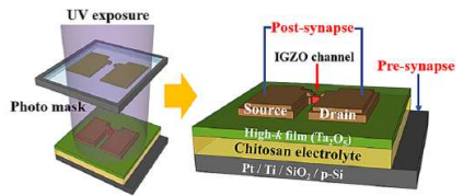 포토리소그래피 공정으로 제작한 키토산 전해질-Ta2O5 하이브리드 전기 이중층 트랜지스터의 모식도